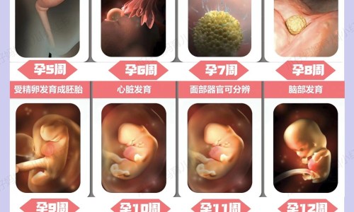 怀孕可以吃鱼皮吗？怀孕吃什么比较好